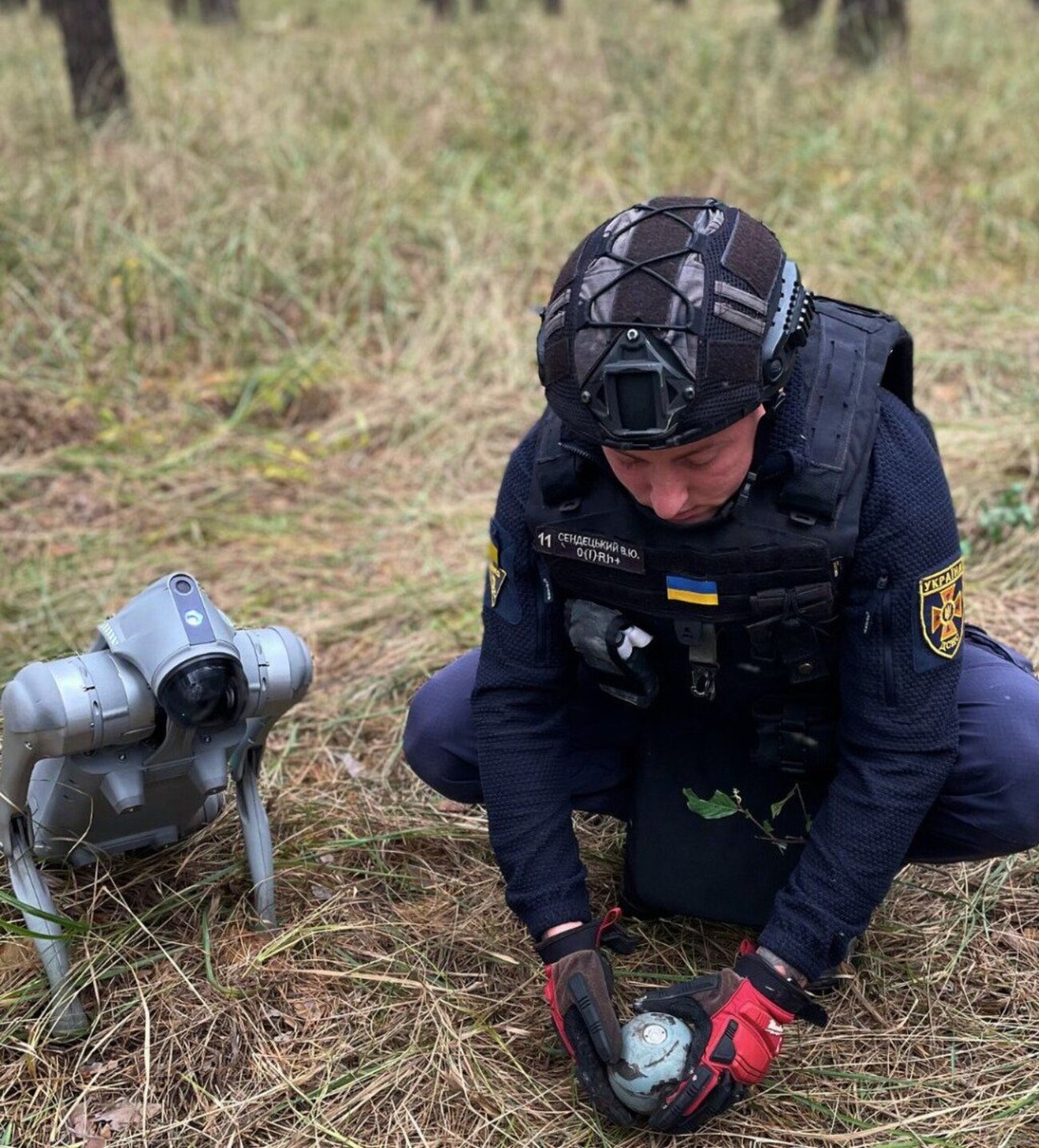 Робопес допоміг рятувальникам знайти боєприпаси після обстрілу: у ДСНС показали фото